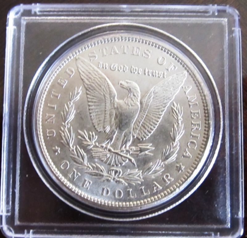 1889-Morgan-Dollar-Please-Try-And-Grade