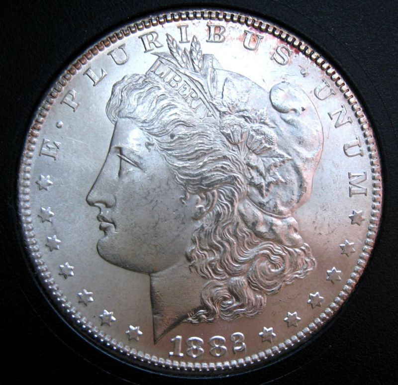 1882-S-Morgan-What's-Its-Grade?