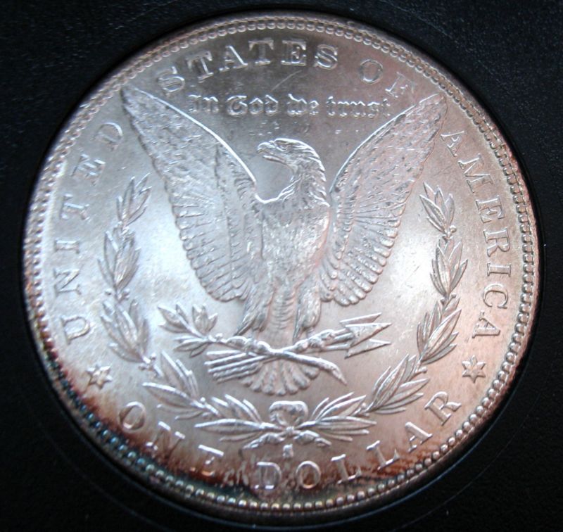 1882-S-Morgan-What's-Its-Grade?