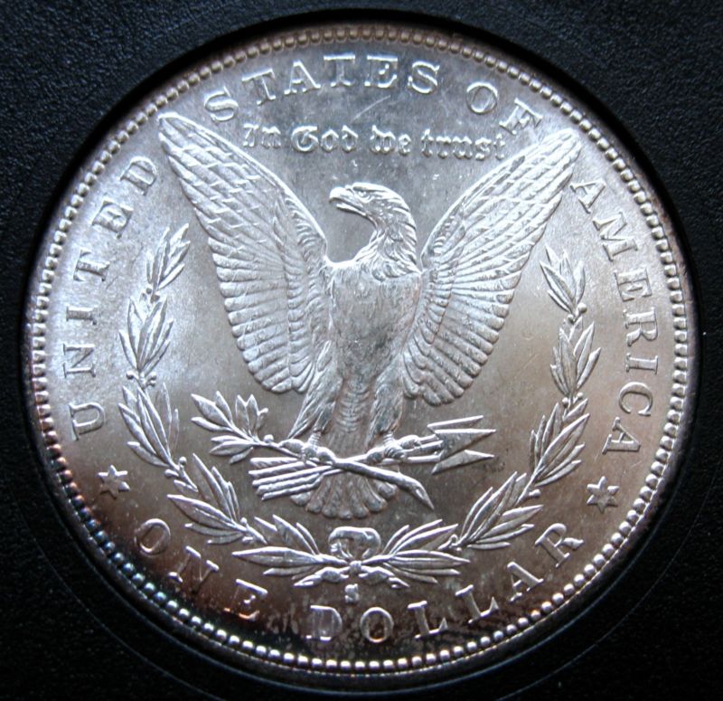 1882-S-Morgan-What's-Its-Grade?
