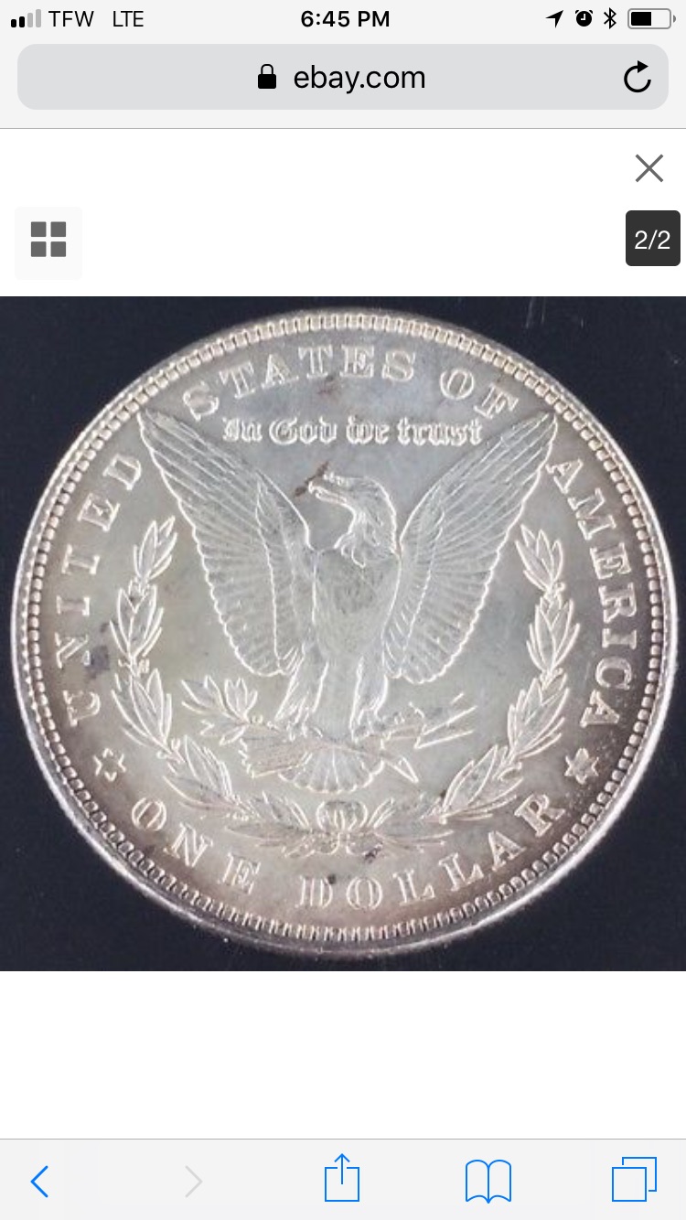 1886-P-Morgan-What�s-It�s-Grade?