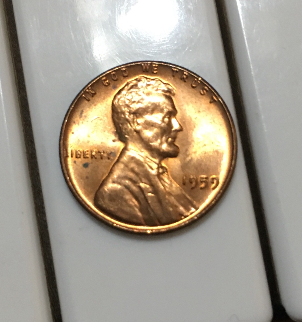 Post-Your-Red-Copper-Found-In-The-Wild