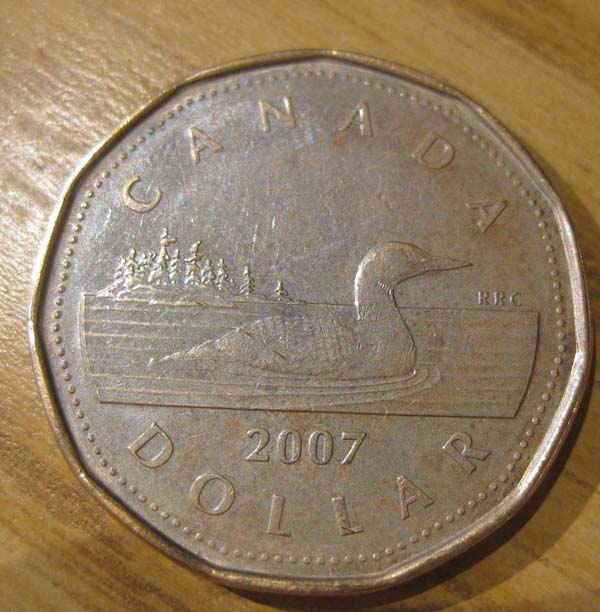 Missing-Plating-2007-Loonie-?
