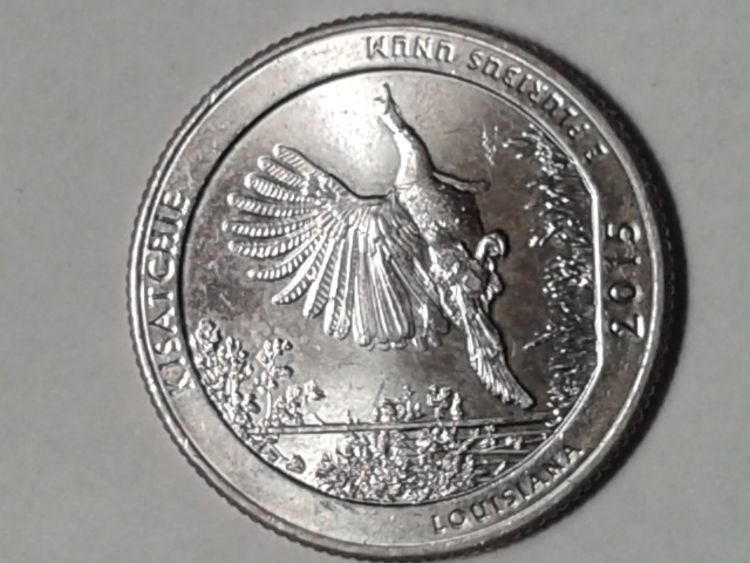 2015-D-Quarter,-What-Might-Of-Caused-This?