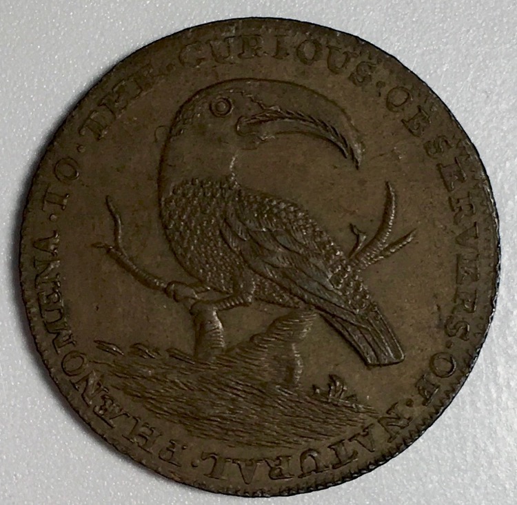 Post-Your-Coins-Representing-The-Animal-Kingdom.