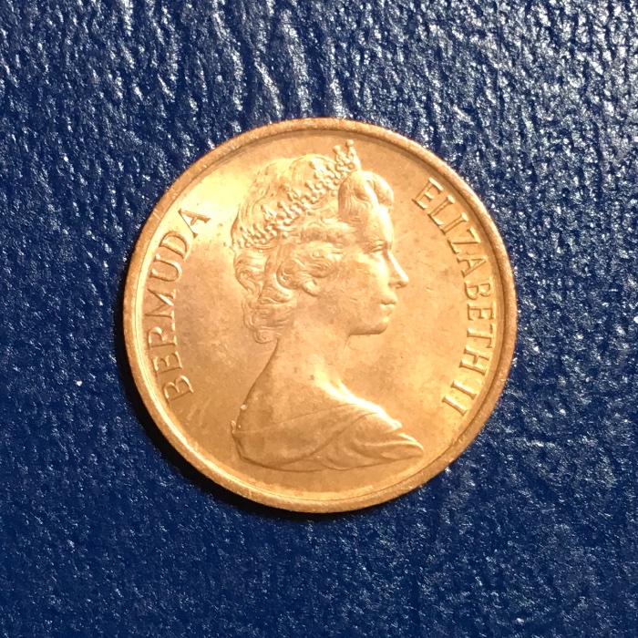 Post-Your-Coins-Representing-The-Animal-Kingdom.