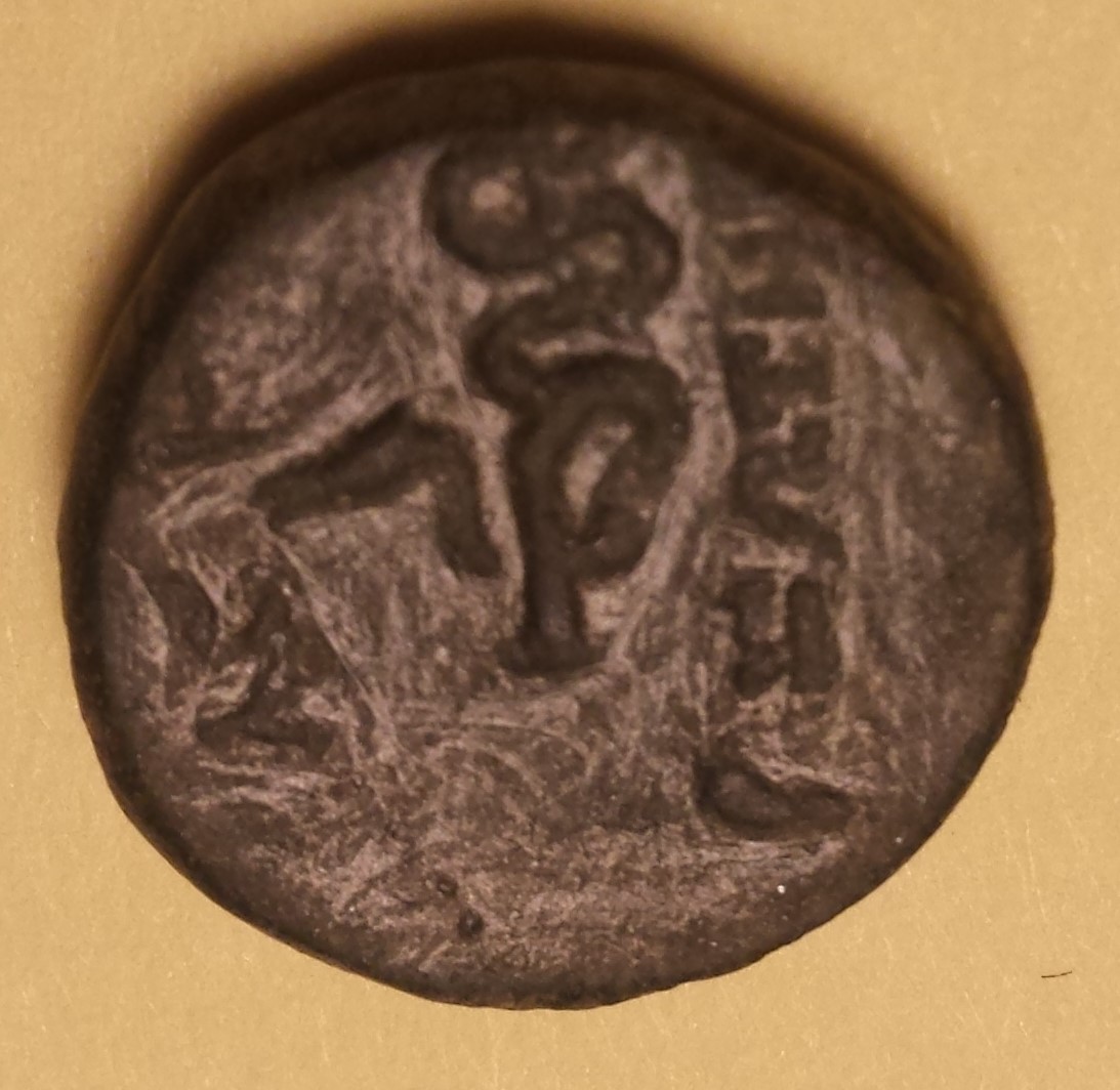 Help-With-Identification-#5