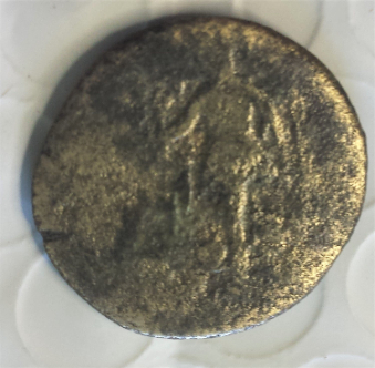 Is-This-Coin-A-Crispina,-Why-Can't-I-Find-It-In-Wildwinds?