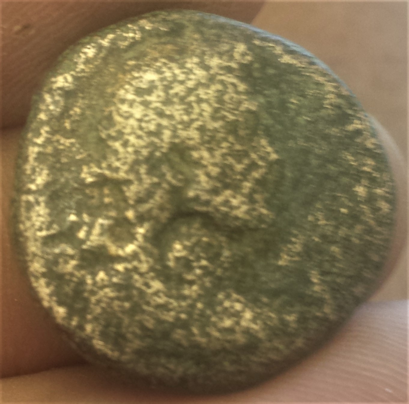 Is-This-Coin-From-Antonio-Pius?
