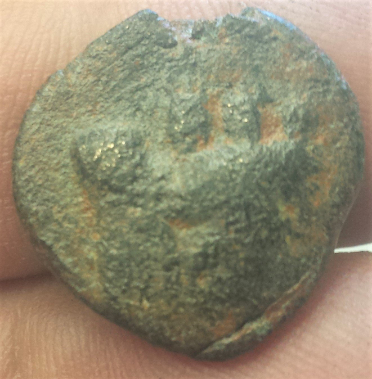 What-In-The-World-Is-On-The-Reverse-Of-This-Coin?