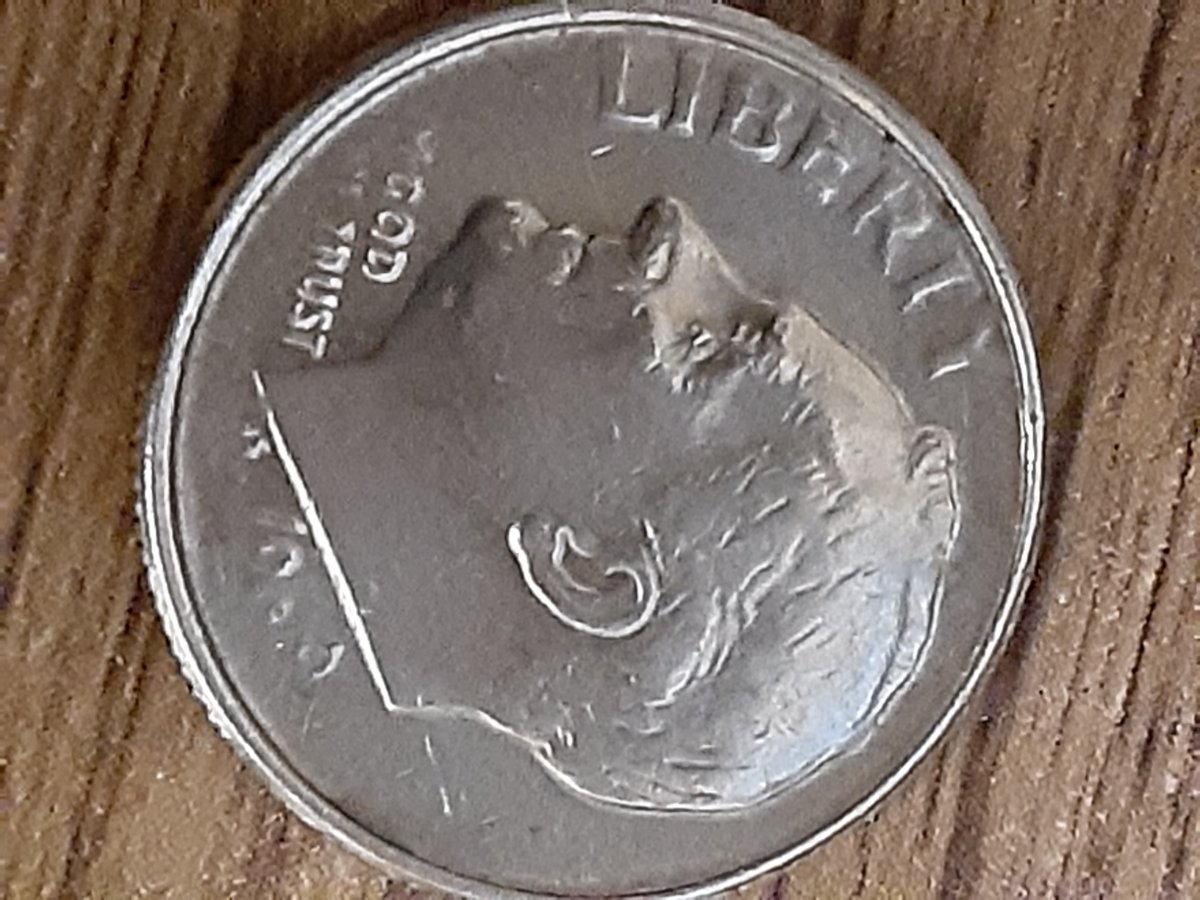 Dime-With-Part-Of-Date-Missing-/Plant-Missing-Stem/Also-Letters-Partly-Miss