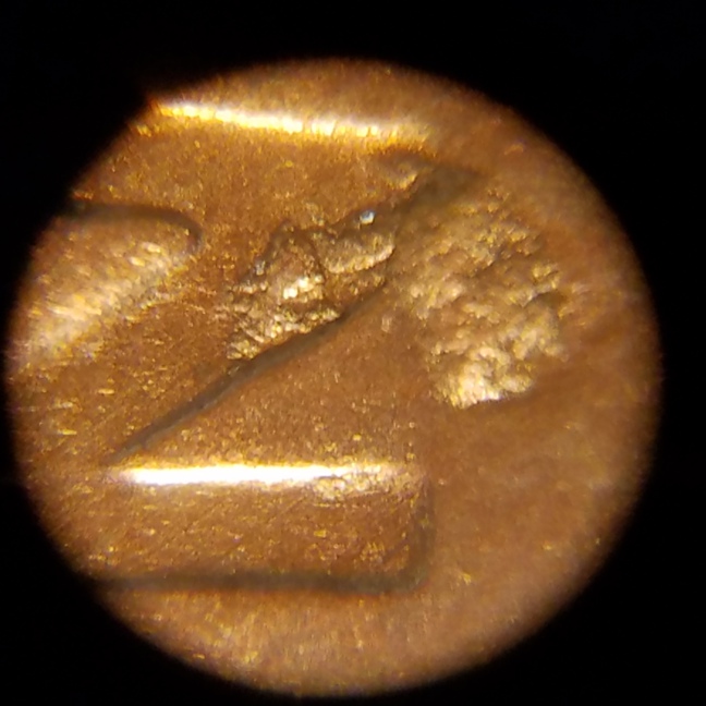What-Is-This?-Does-Anyone-Know?