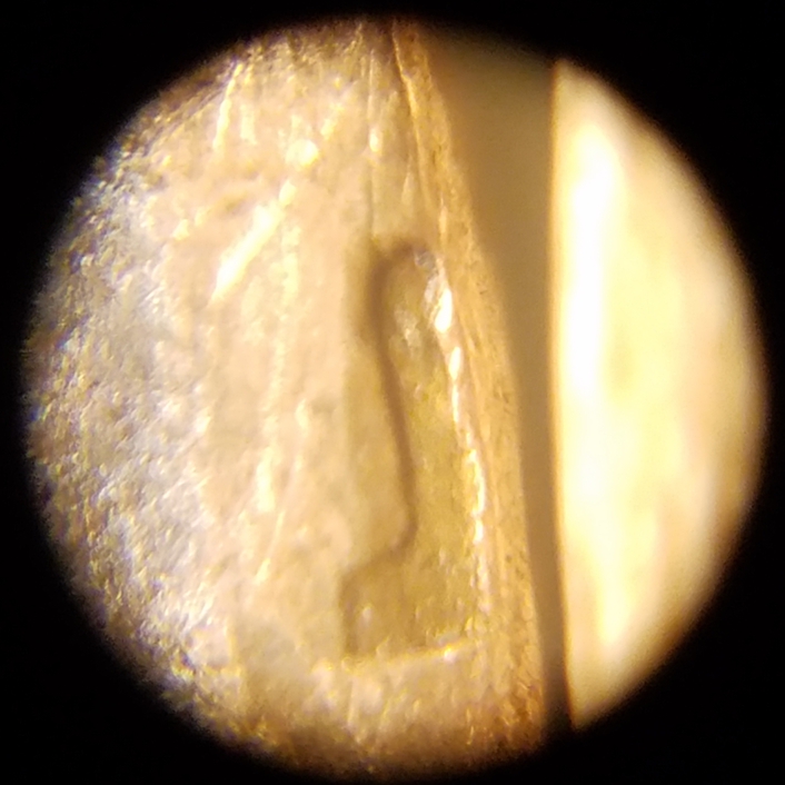 1942-S-Penny-With-An-L-Stamped-On-The-Rim
