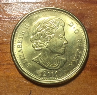 Anyone-Seen-2016-Regular-Loonies-In-Circulation-Yet