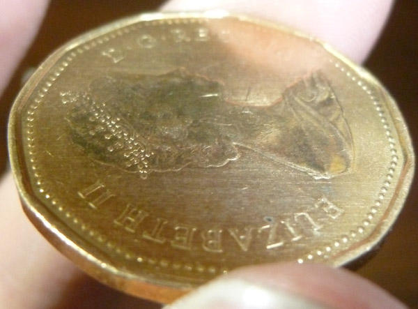 1987-Loonie-Specimen-Finish?