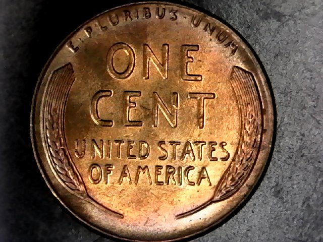 Looking-For-Opinions-Is-This-A-DDO-/-DDR-1956-Wheat-Back-Lincoln-Cent?