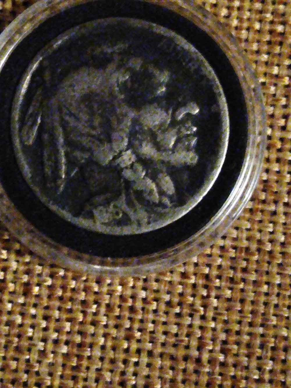Found-This-Nice-Old-1916-Buffalo-Nickel