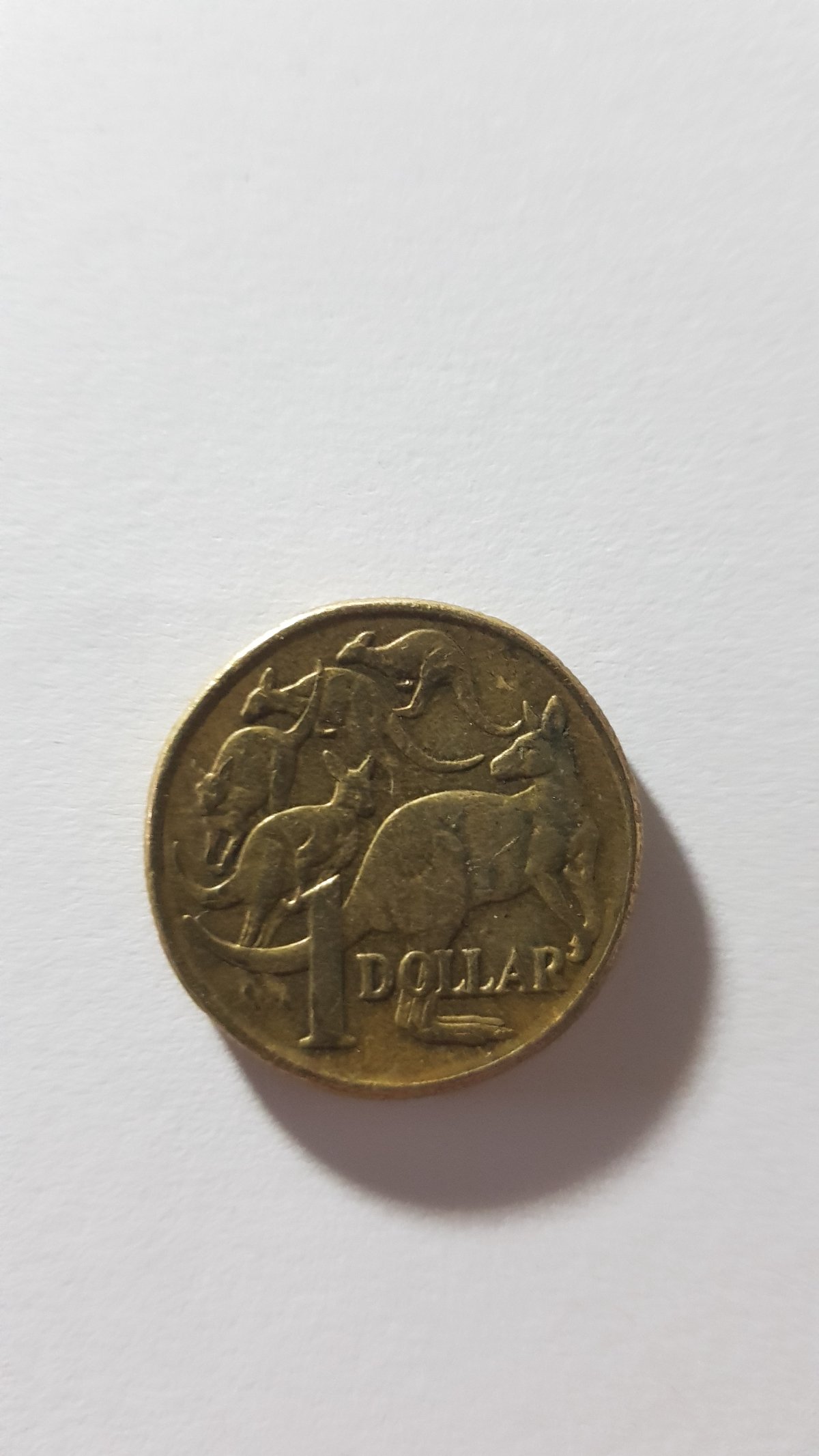 Found-The-