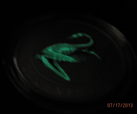 Glow-In-The-Dark-Dino-Coin-#3-Will-Be-Released-In-July