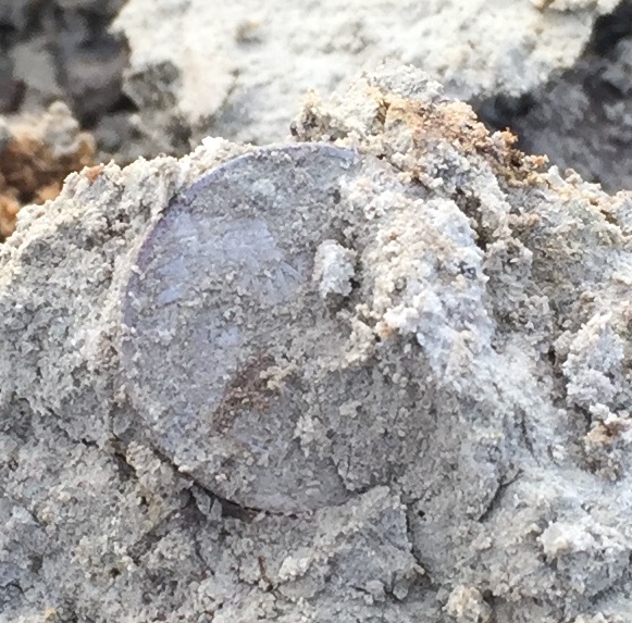 Just-Dug-1833-Capped-Bust-Dime
