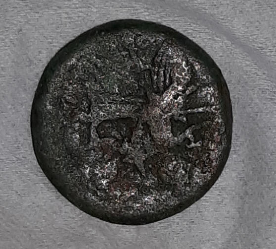 Roman-Coin-Identification-Help-Request
