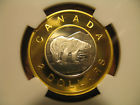 My-Toonie-List-With-Questions