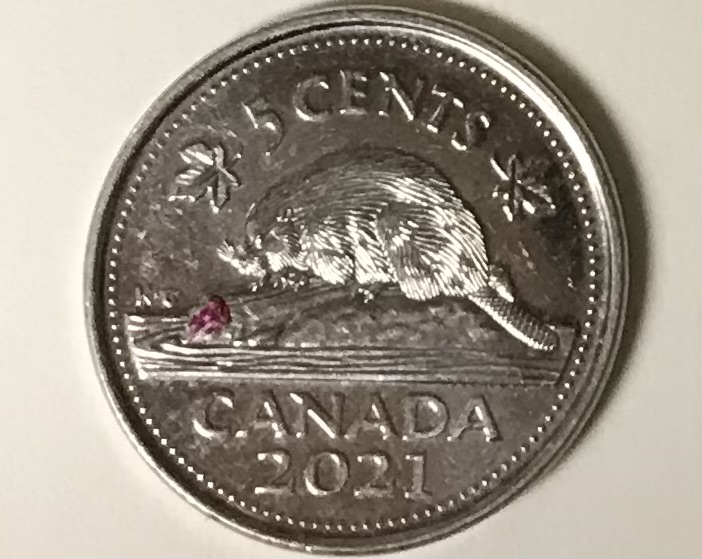 2021-Nickel-With-Red-Marking