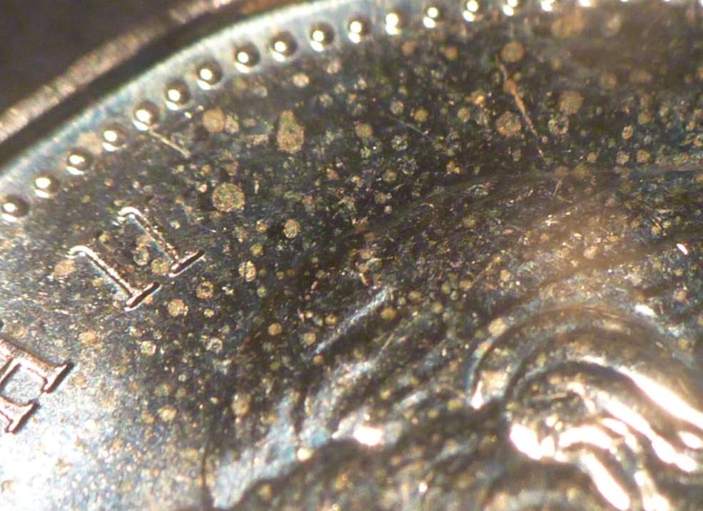 2011-Loon-Dollars