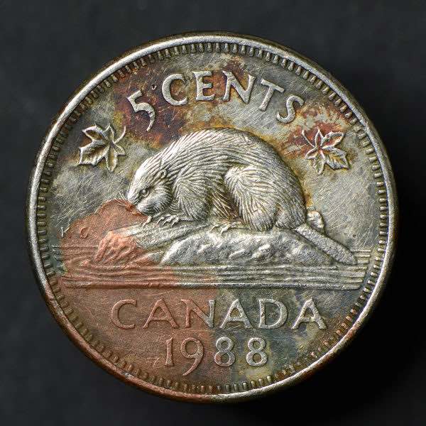 This-One-Is-A-1989-5-Cents