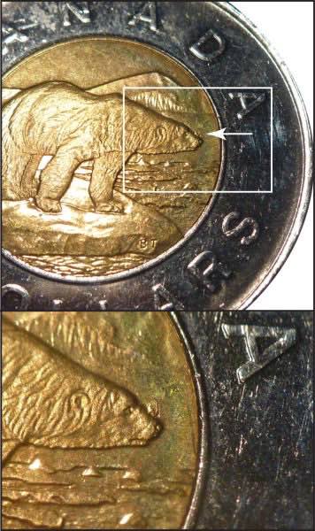 Toonie-Horn