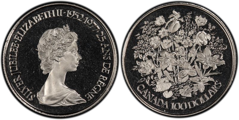 NCLT-Error-Coins