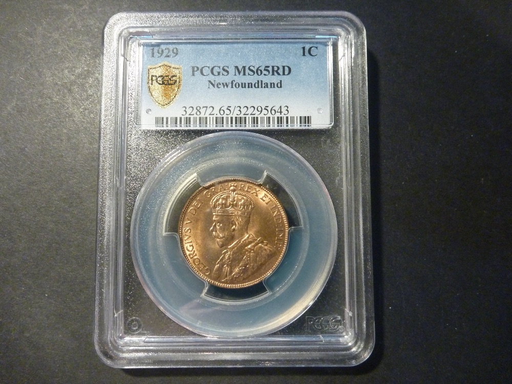 Why-You-Should-Collect-Newfoundland-Coins.