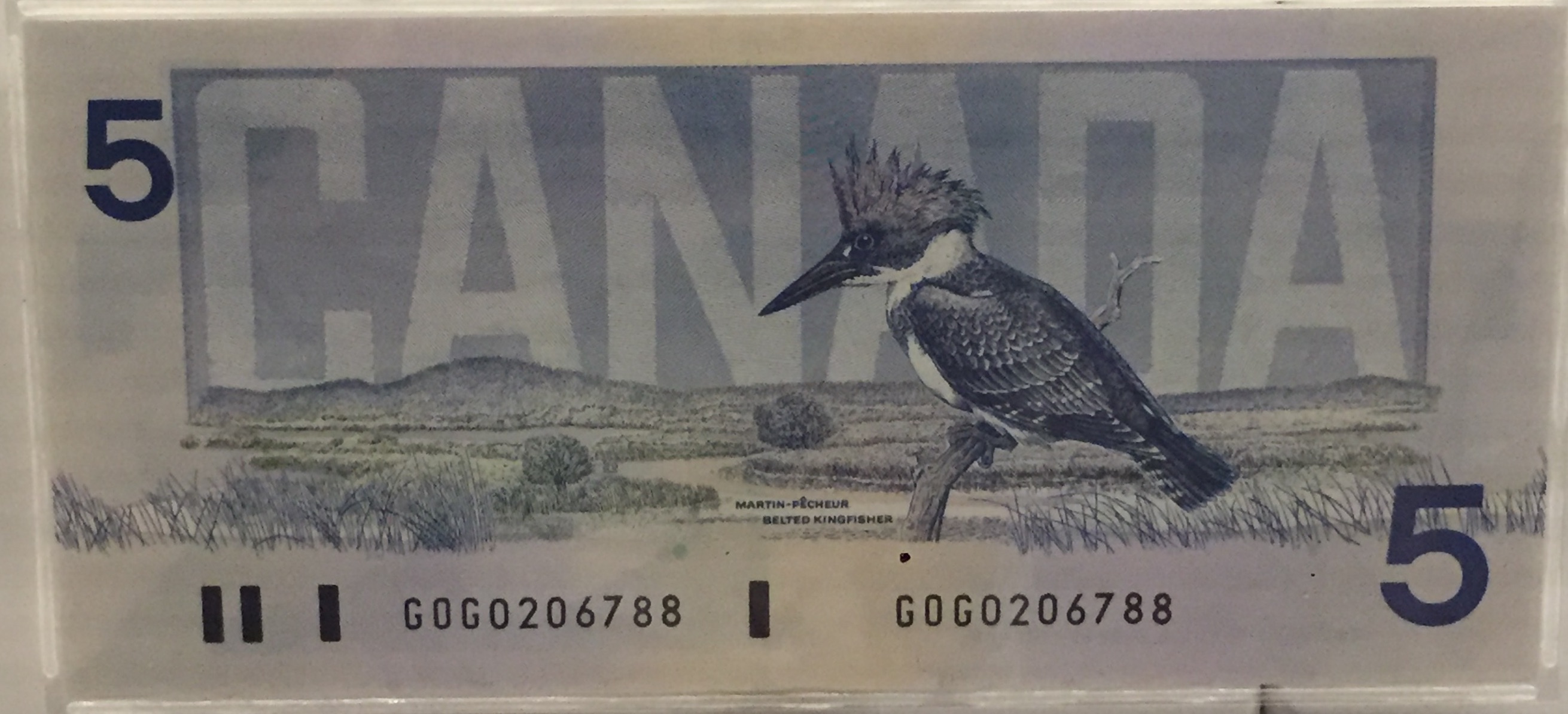 Bird-Series-$5-Note---