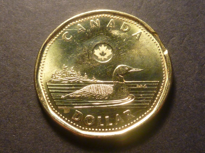 2018-Loon-Dollar-Error