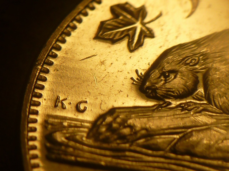 Trail-Dies-Again---This-Time-The-1965-5-Cent