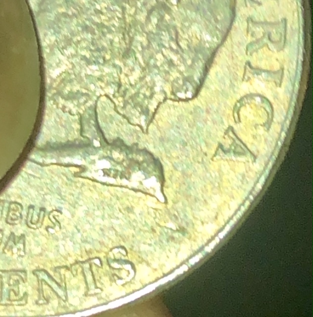 2005-D-Bison-Nickel-Possible-Error?-Help-Please