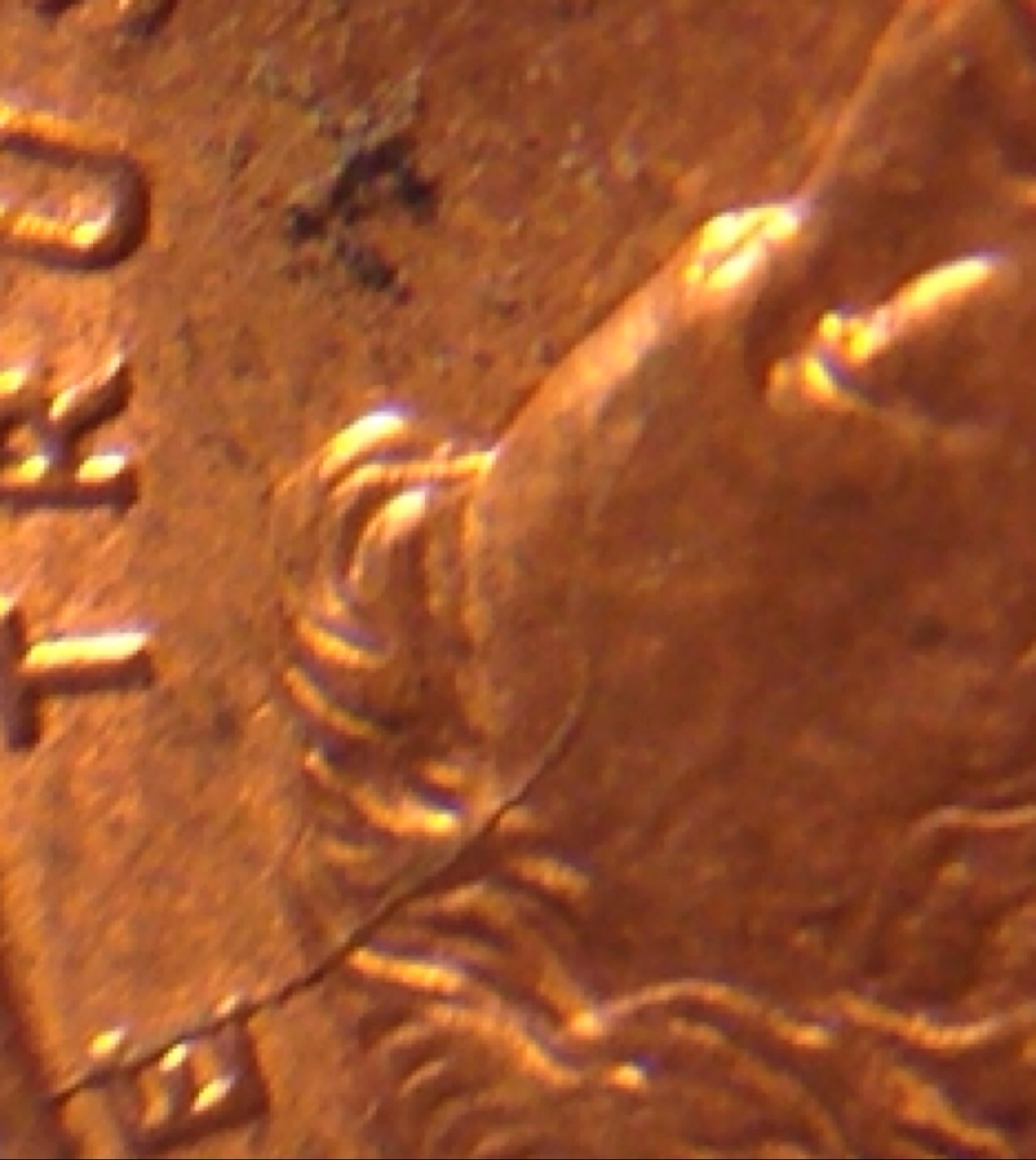 1995-What-Looks-To-Be-A-Cracked-Skull?