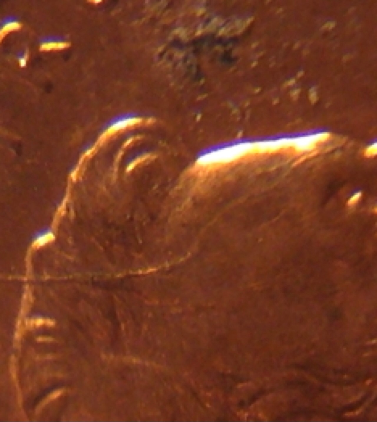 1995-What-Looks-To-Be-A-Cracked-Skull?