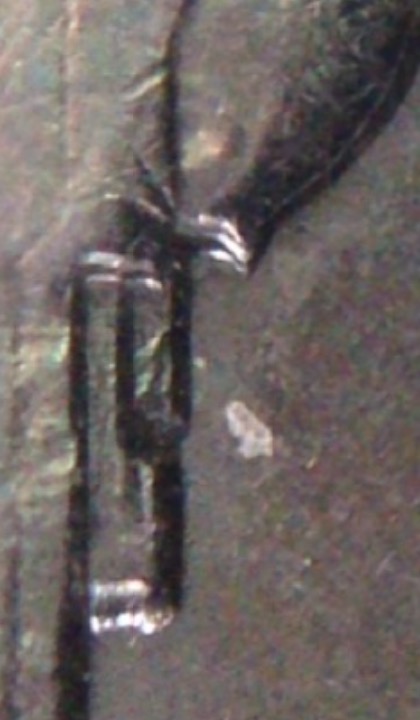 1964-D-Doubled-Die-Nickel-Obverse-Reverse?
