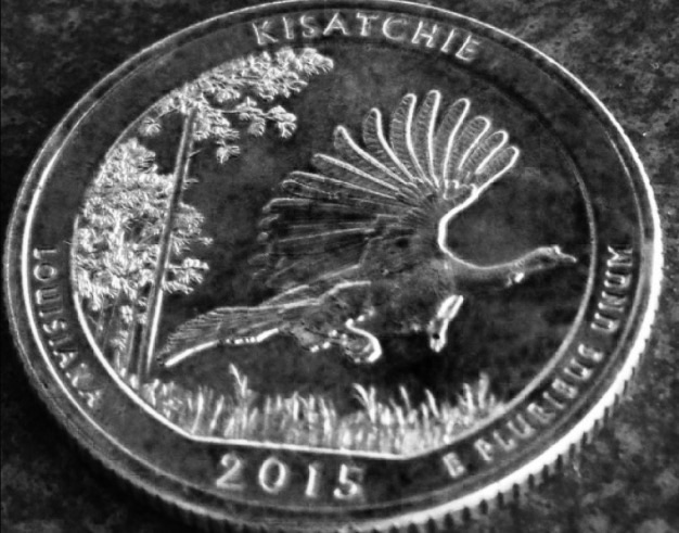 2015-State-Quarter-Machine-Doubled?