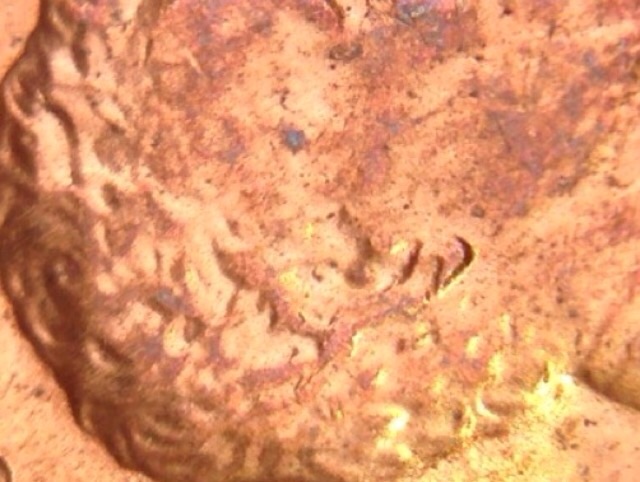 1983-D-Doubled-Ear-Possibly-Doubled-Die-Penny?