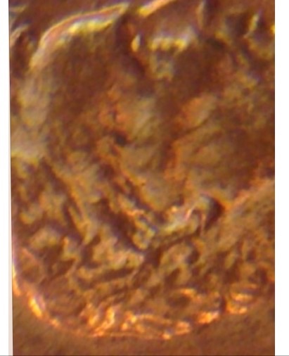 1983-D-Doubled-Ear-Possibly-Doubled-Die-Penny?