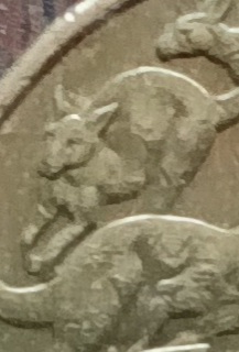 $1-Mob-Of-Roos---3RD-Roo-Missing-Right-Rear-Leg?