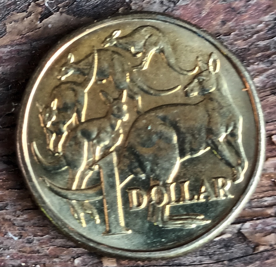 1984-Mor---Saved-From-Circulation-Nearly-40-Years-After-Issue!