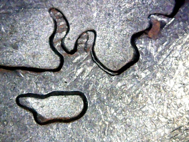 Could-These-Be-Unattributed-DDRs?-2015-Homestead/2007-Wyoming-Quarters
