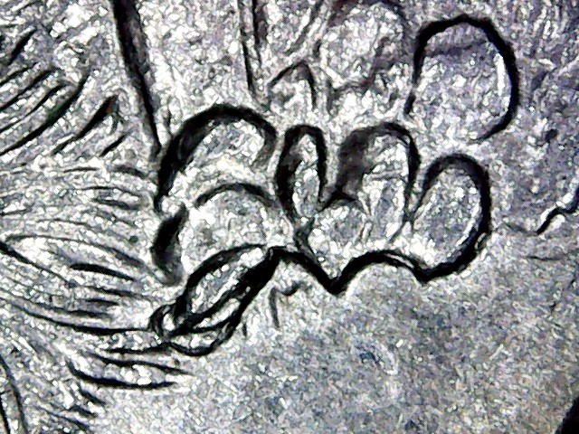 Finds-From-My-First-$500-Bank-Box-Quarters