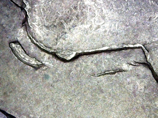 2011-Five-Moroccan-Dihrams-Possible-Double-Strike?