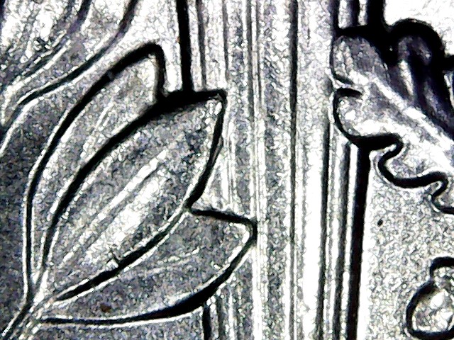 Another-Minor-Unlisted-Roosevelt-Dime-DDR-2017-P-On-The-Olive-Leaf