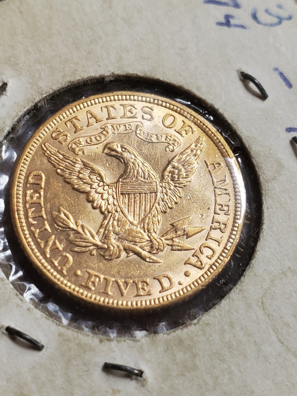 1886-P-Half-Eagle-Worth-Having-Professionally-Graded?