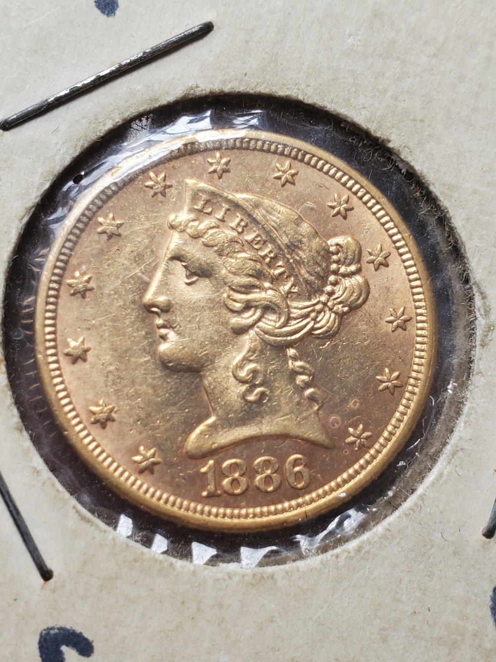 1886-P-Half-Eagle-Worth-Having-Professionally-Graded?